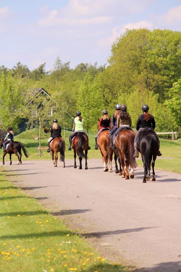 Horsetellerie Rheezerveen Hardenberg Exterior foto