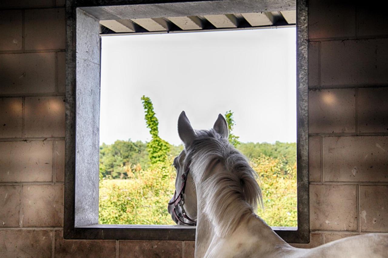 Horsetellerie Rheezerveen Hardenberg Exterior foto