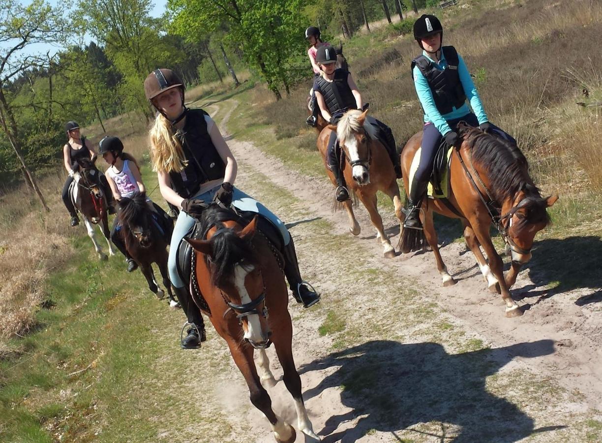 Horsetellerie Rheezerveen Hardenberg Exterior foto