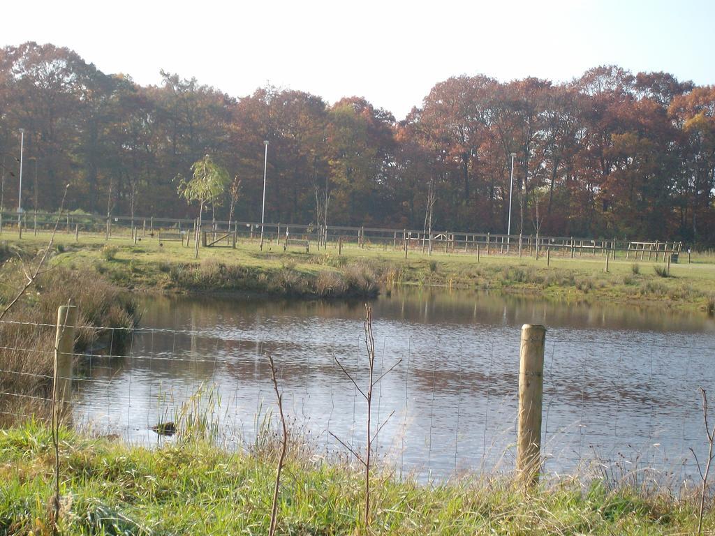 Horsetellerie Rheezerveen Hardenberg Exterior foto